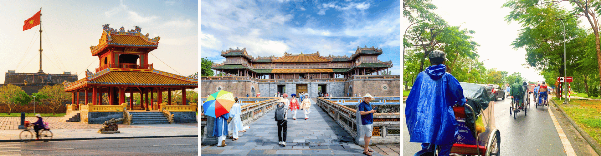 VE Day 8 VE Day 8 WOLO Travel